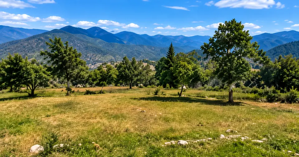 Vista del terreno del lote